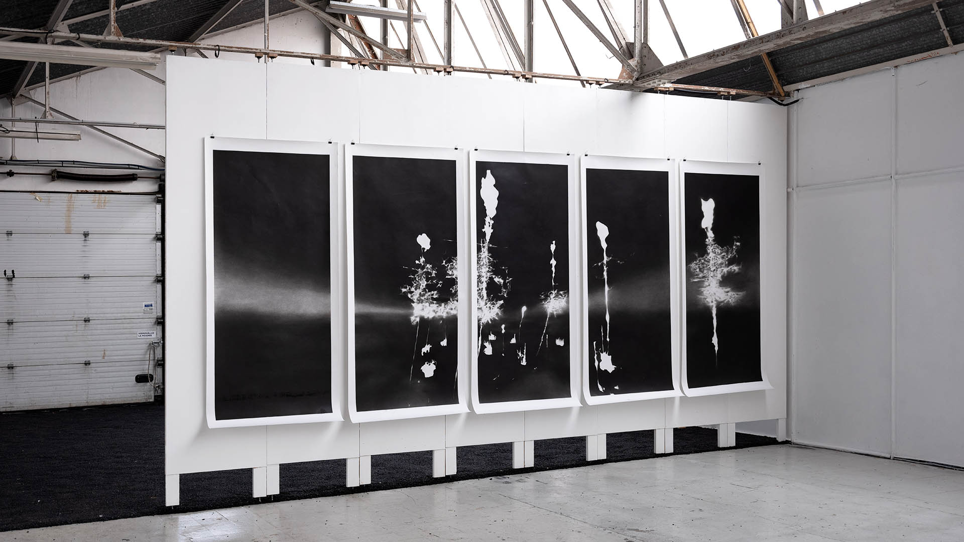 Cinq grands panneaux noirs avec le même dessin que sur la première photo mais de plus loins. Fonds noirs avec des formes blanches qui ressemble à des paysages, ou des plantes, ou encore des traces.