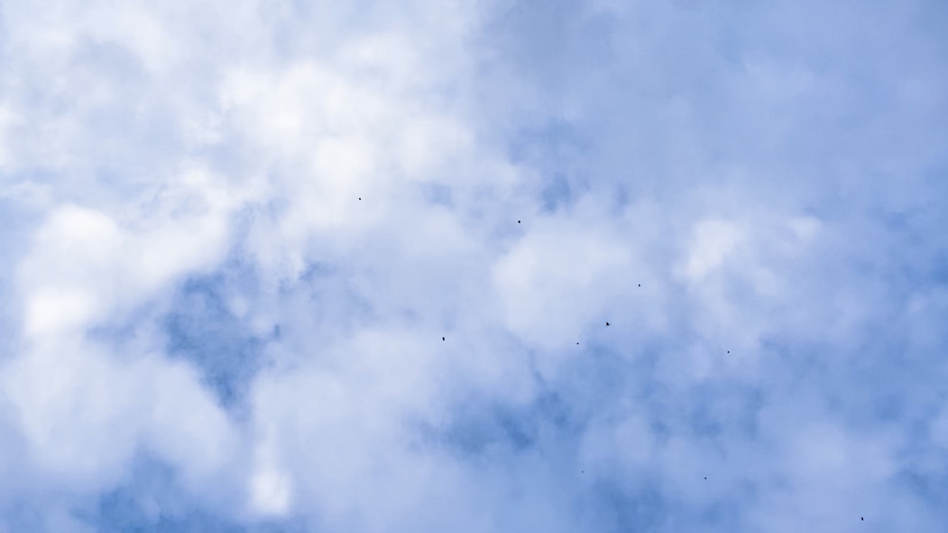 Un écran de télévision : un ciel bleu avec quelques nuages, et des mouches qui viennent se poser sur l'écran.