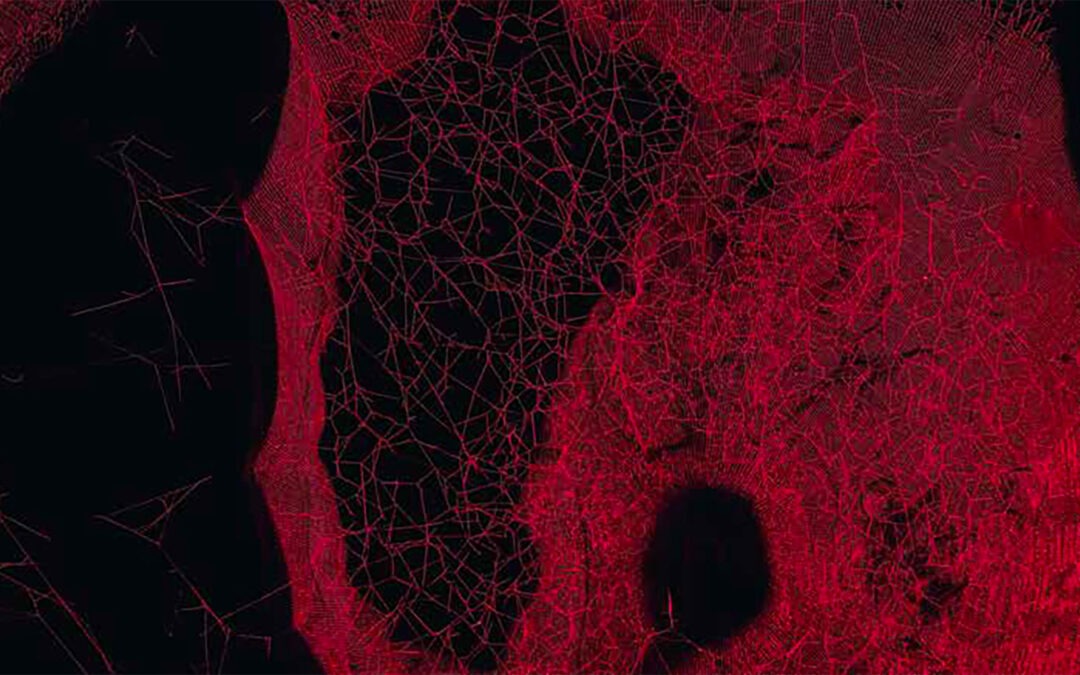 Résidences art et science