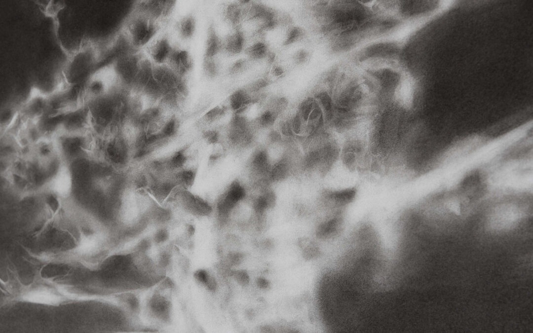 Clara-Louise Hoffsaes : aux confins du son et du signal